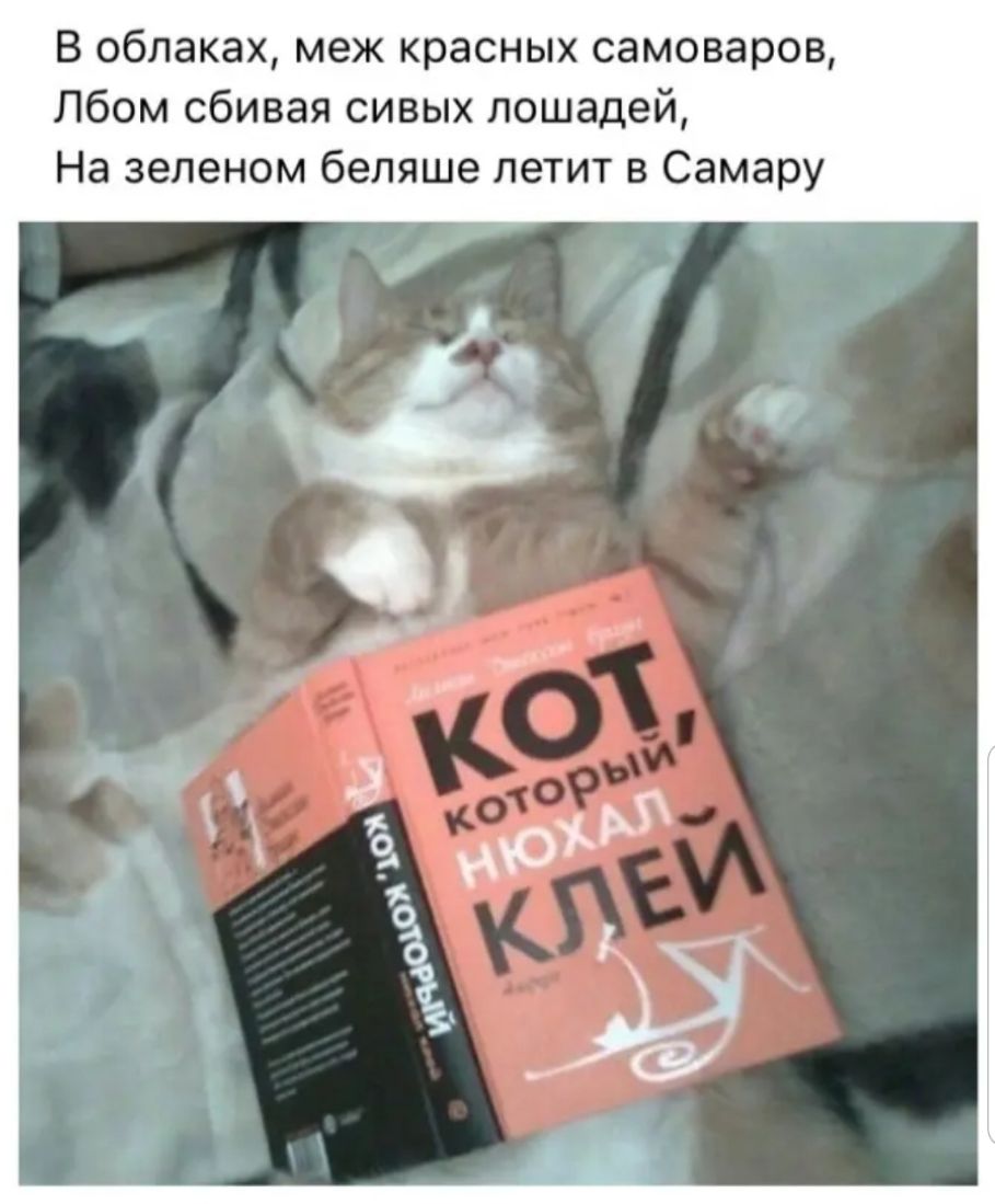 В облаках меж красных самоваров Лбом сбивая сивых лошадей На зеленом беляше летит в Самару