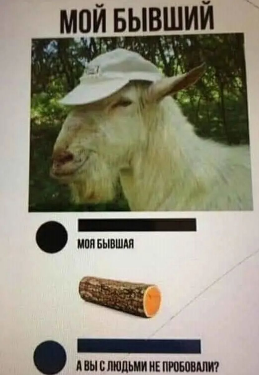 _ моявывшдя _ двыспюпьиинвпювшпт