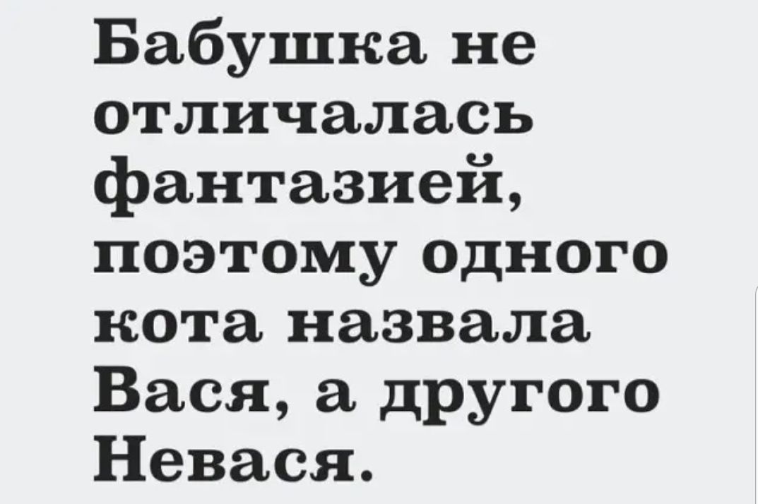 Бабушка не отличалась фантазией поэтому ОДНОГО кота назвала Вася другого Невася