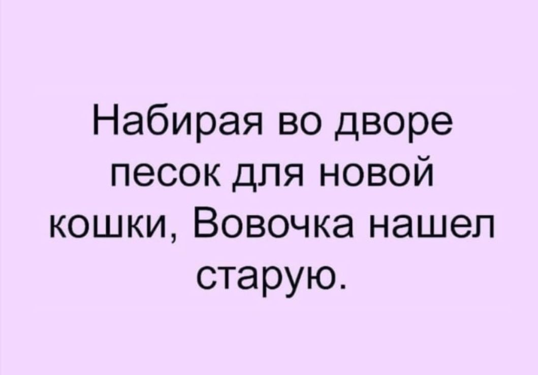 Набирая во дворе песок для новой кошки Вовочка нашел старую