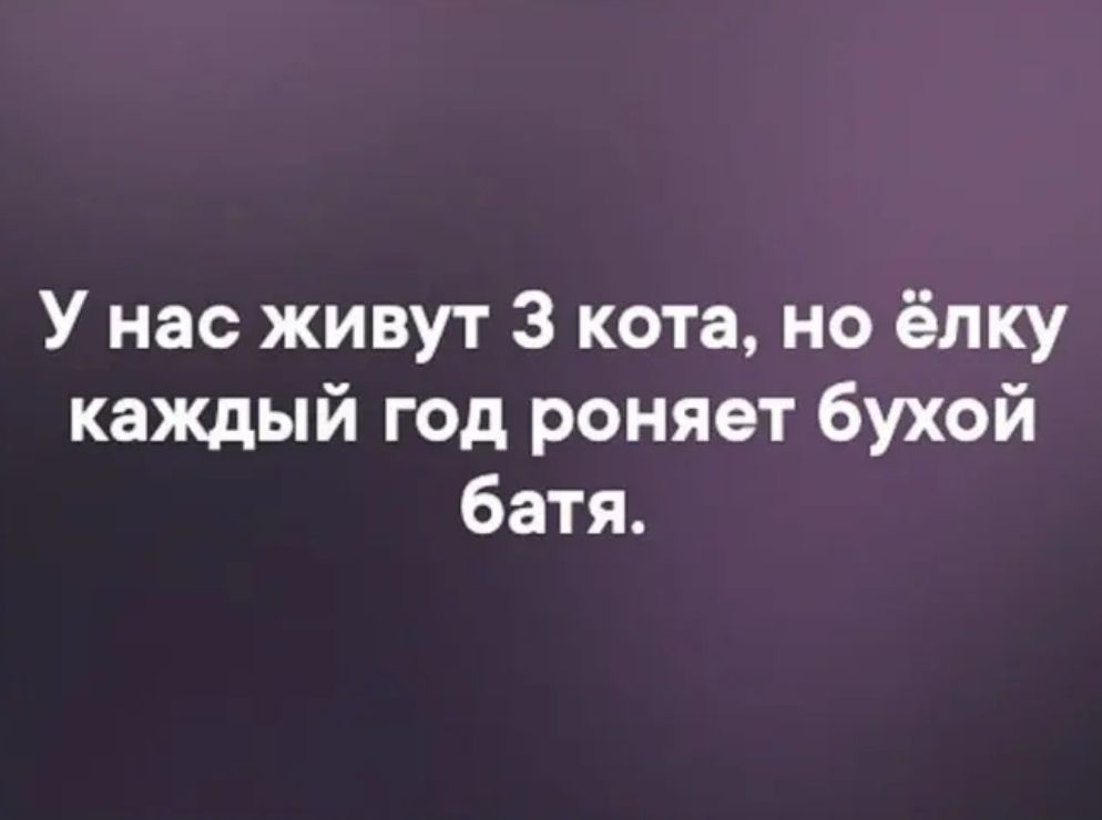 У нас живут З кота но ёлку каждый год роняет бухой батя