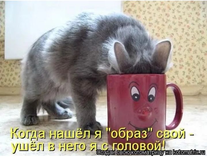 браз ушёл в нет г оповои