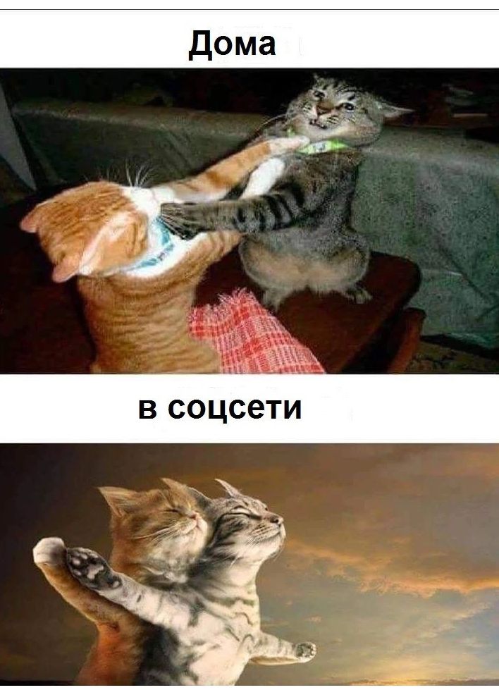 в соцсети