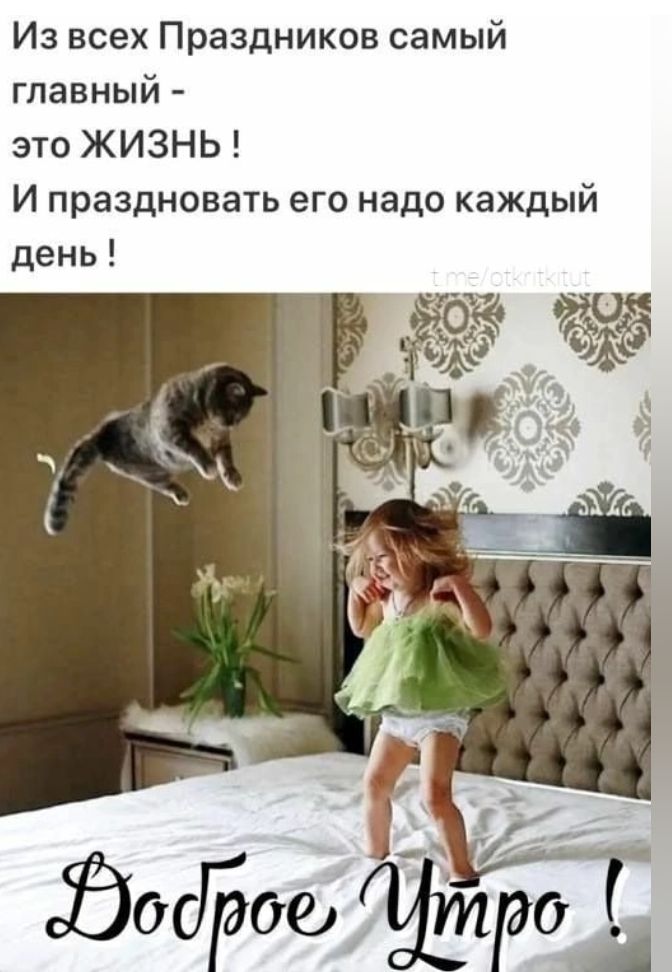 Из всех Праздников самый главный это ЖИЗНЬ И праздновать его надо каждый день