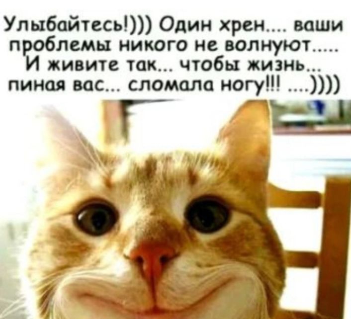 Улыбайтесь Один хрен ваши п пеш никого не волнуют живите так чтобы жизнь пиная вас сломала ногу