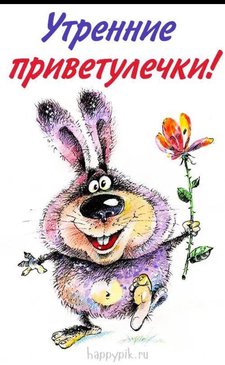 Ирешие приветМКМ