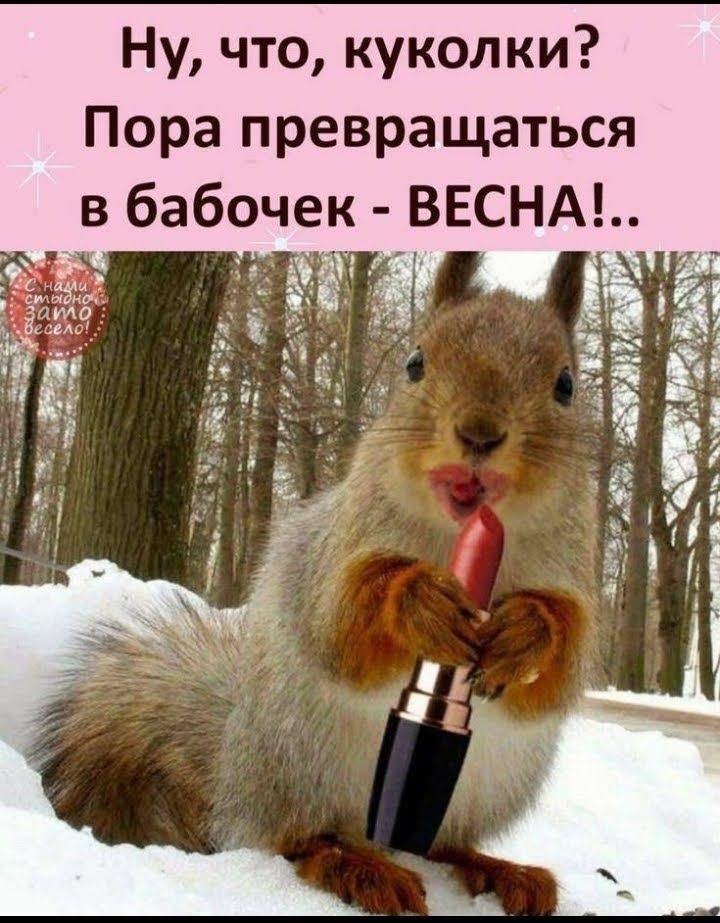 Ну что куколки Пора превращаться в бабочек ВЕСНА