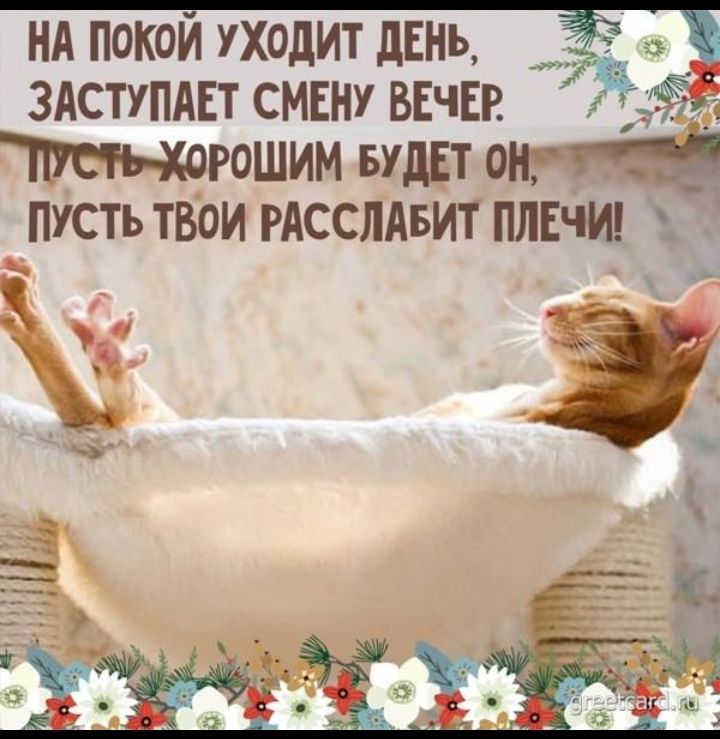 нд нокии уходит дЕНЬ здступдвт смт вши ить хорошим БУДЕТ о Пусть твои гясслдвит ПЛЕЧИ 331 4
