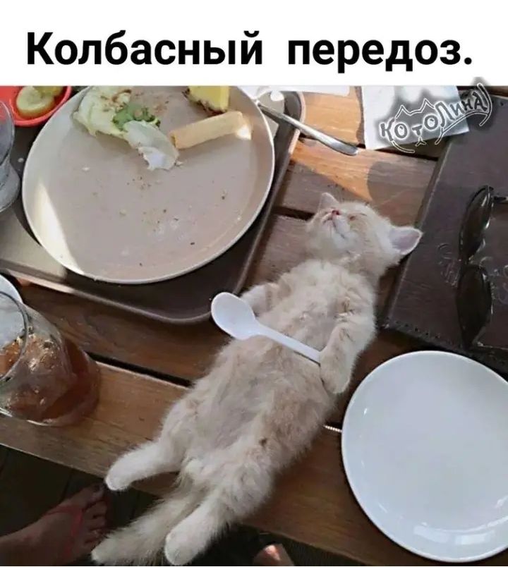 Колбасный передоз