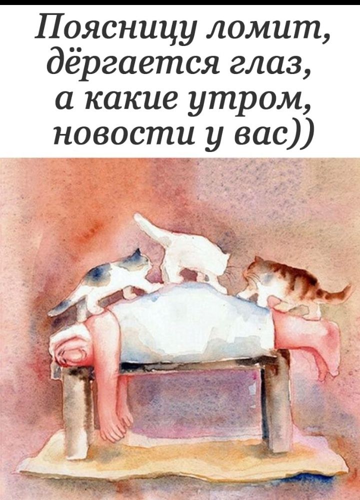 Поясницу ломит дёргается глаз а какие утром новости у вас