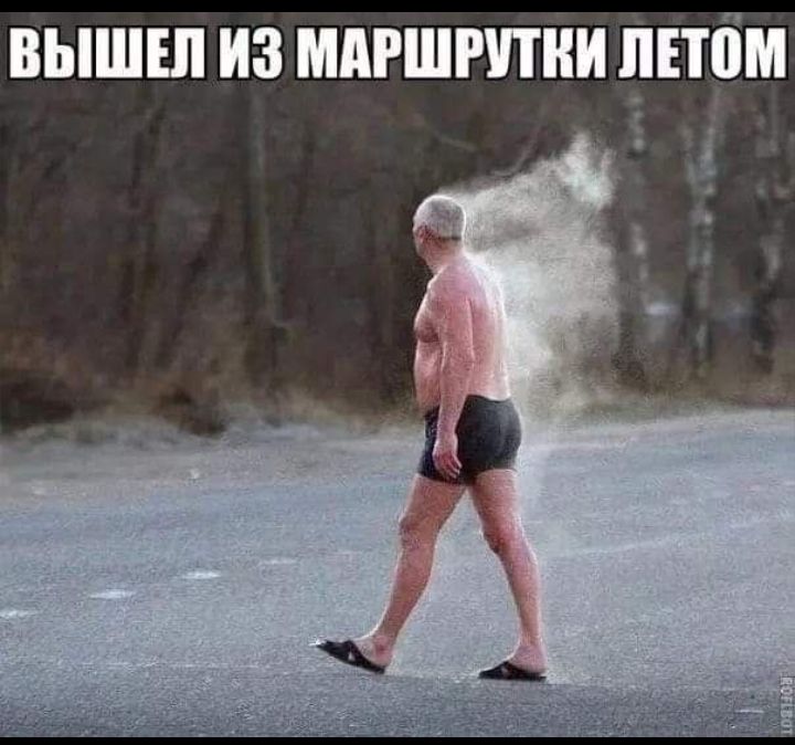 вышш из мдгшппни днём 1