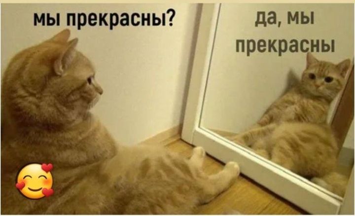 мы прекрасны да мы прекра ы