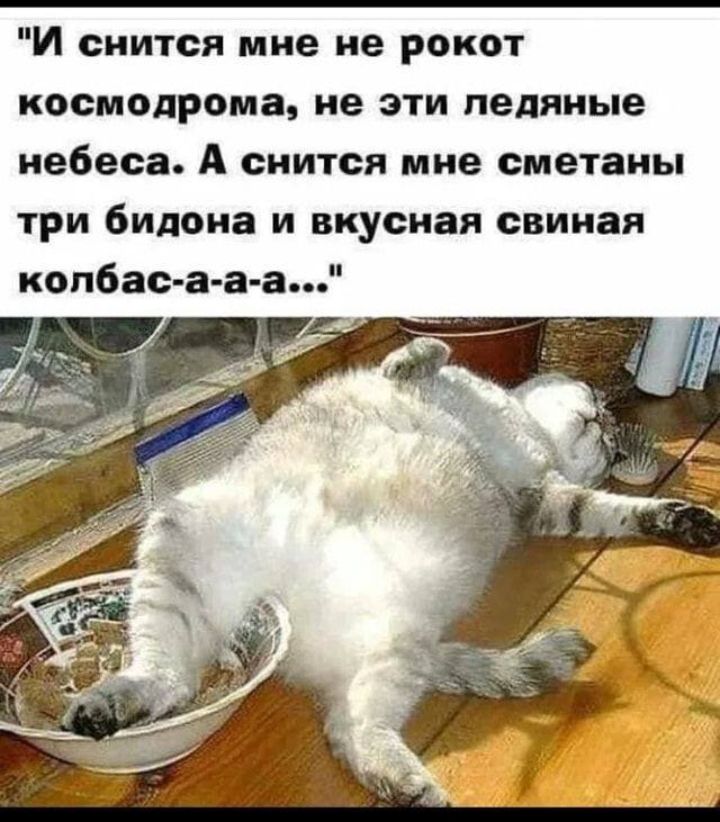 И снится мне не рокот космодрома не эти ледяные небеса А снится мне сметаны три бидоиа и вкусная свиная копбасааа