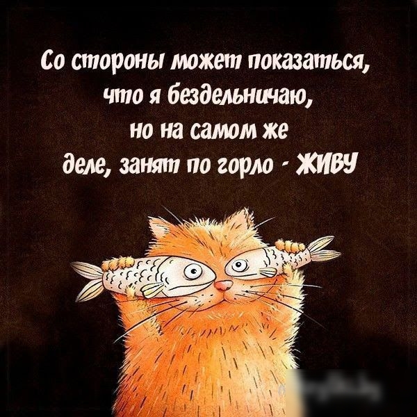 Со анарты может показаться что я бандитами но на швом же деле за по горло