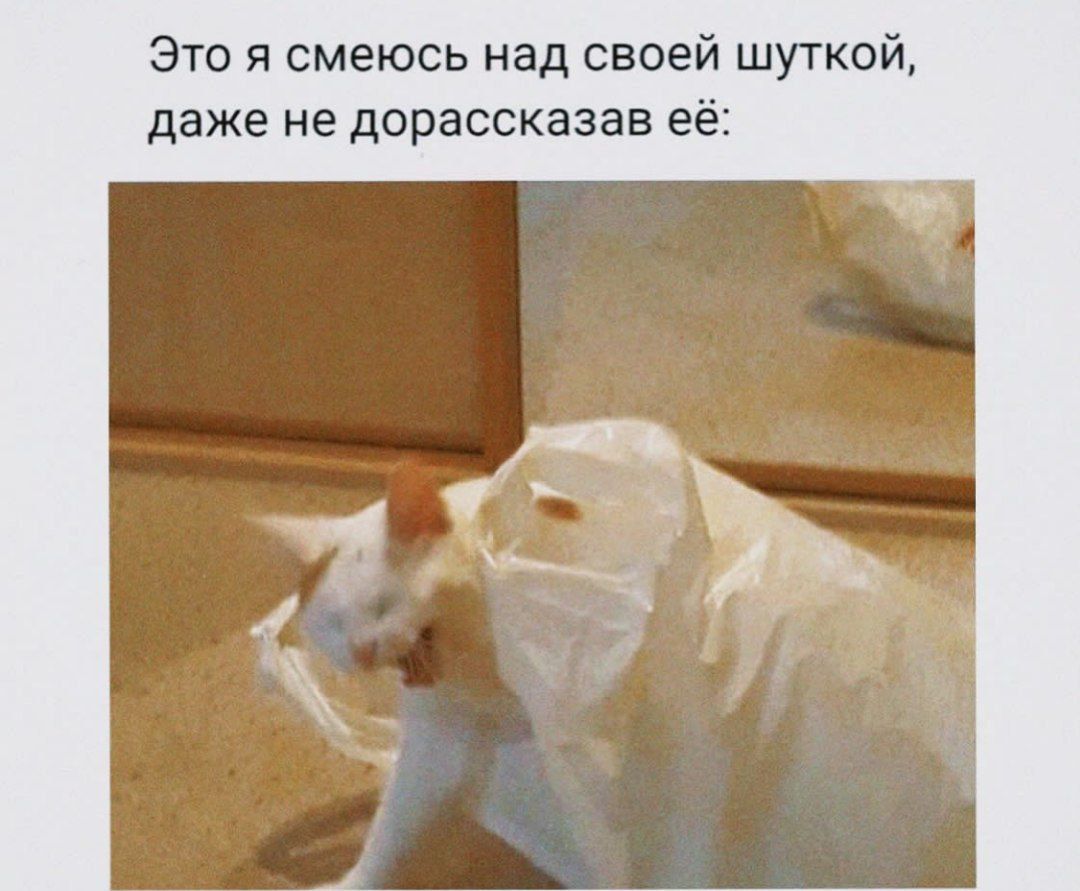 Это я смеюсь над своей шуткой даже не дорассказав её