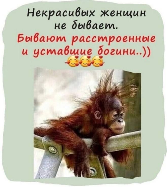 Нвкрасибых женщин не бывает _Ю ц