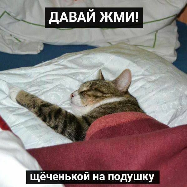 ДАВАЙ _кмш