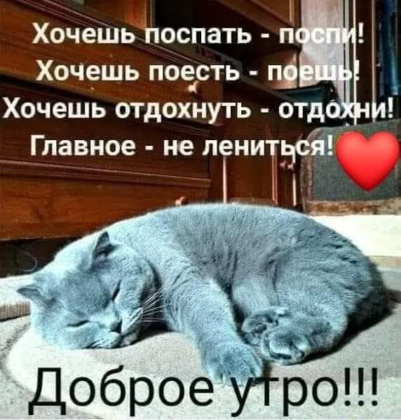 ХочешЁпоспать п ХОЧ9ШЬ поЁсть Хочешь отдохнуть отд _ _давное не джитсу 3