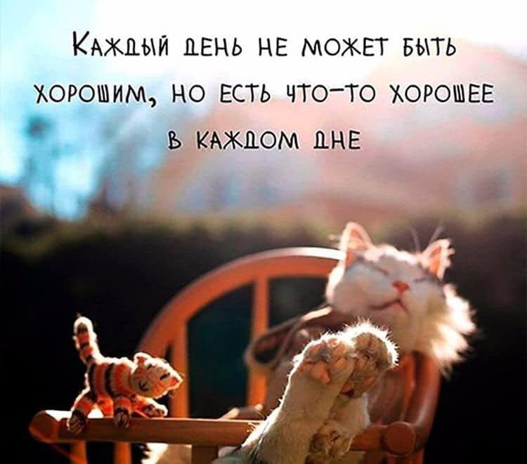 КАЖДЫЙ ДЕНЬ НЕ МОЖЕТ БЫТЬ ХОРОШИМ НО ЕСТЬ ЧТОТО ХОРОШЕЕ Ъ КАЖДОМ ПНЕ