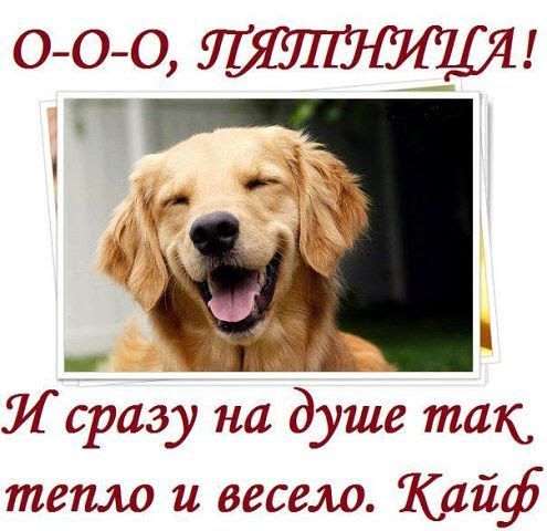 сразу на душе так тепло и весело Кайф