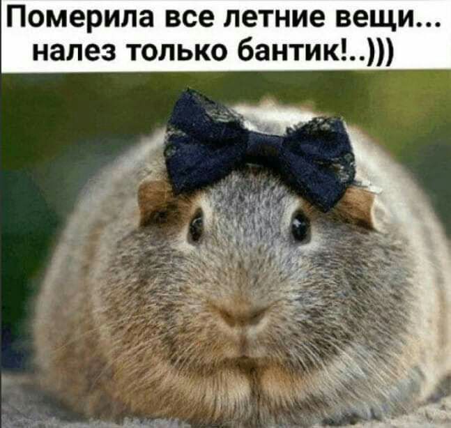 Померипа все летние вещи напез только 6антик