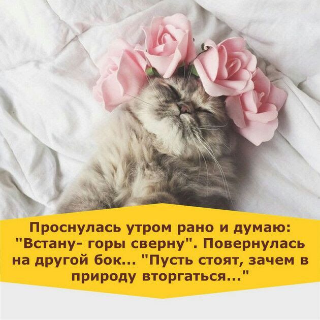 3 Проснулась утром рано и думаю Встаиу горы сверну Поиериулась на другой Бок Пусть стоят зачем в природу вторгаться