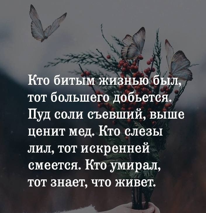 Пуд соли съевший выше ценит мед Кто слезы лил тот искренней смеется Ктоумирал тот знает что живет Д А