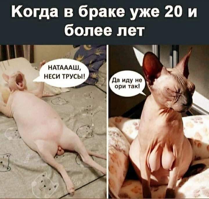 Когда в браке уже 20 и более лет