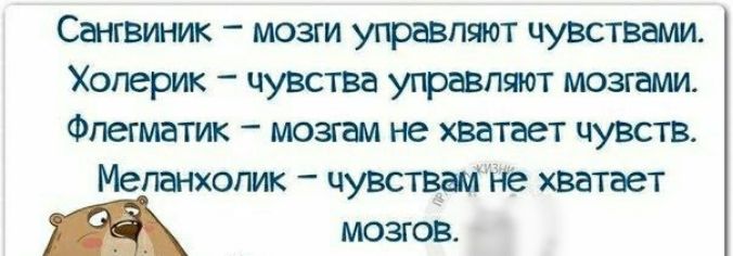 Сангвиник мозги утратит чувствами Хогерик чувства уграпяот мозгши Фпешатик мозгам не хватает чувств Мегвнхогик чувства не хватает МОЗОВ
