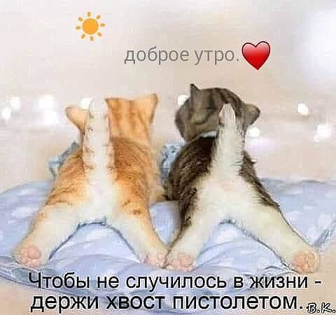 к мне случилось ВЖИЗЁКі де р тщйёгбйетом