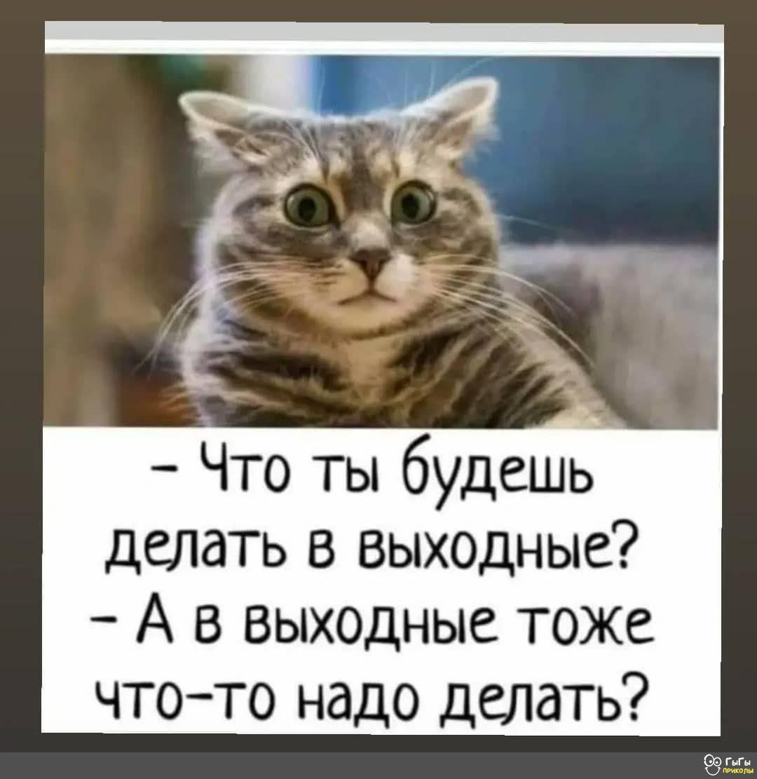 Что ты будешь делать в выходные А в выходные тоже что то надо делать