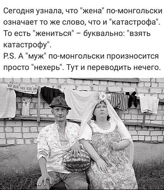 Сегодня узнала что жена по монгопьски означает то же слово что и катастрофа То есть жениться буквально взять катастрофу Р А муж по монгольски произносится просто нехерь Тут и переводить нечегот