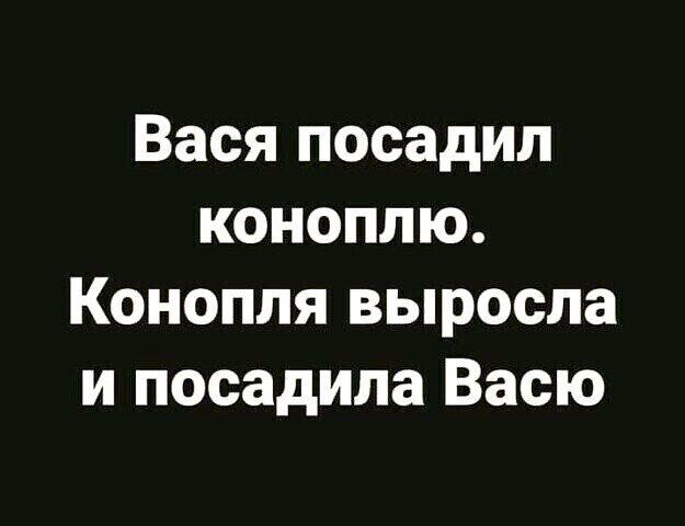 Вася посадил коноплю Конопля выросла и посадила Васю