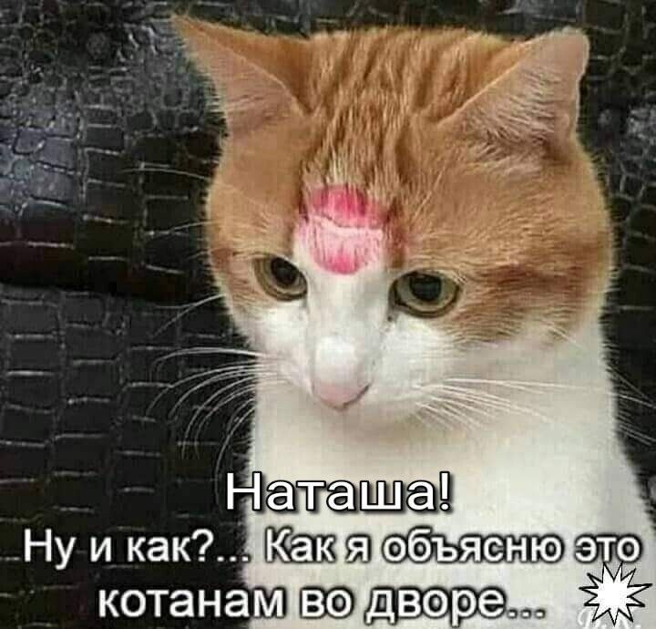 ю котанамю вере Ё