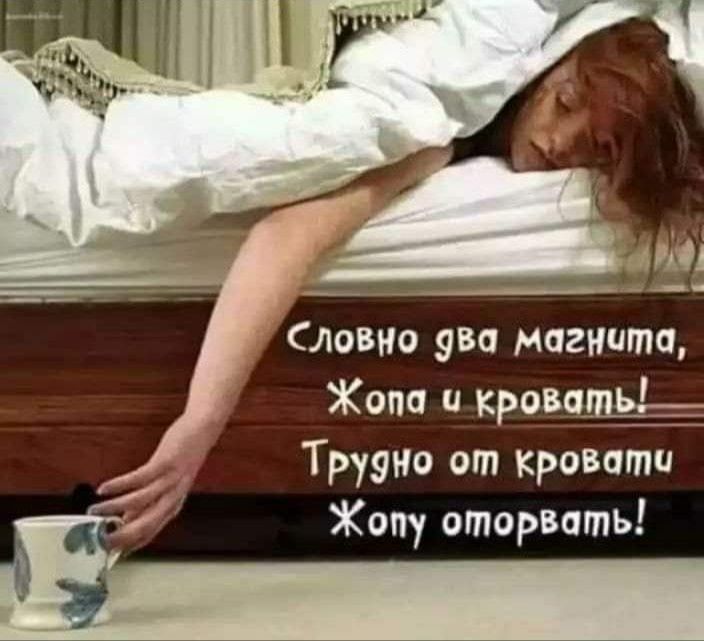 ловно 930 Магиита Жопа и крон Труэно от кровшпи Жопу оторвать