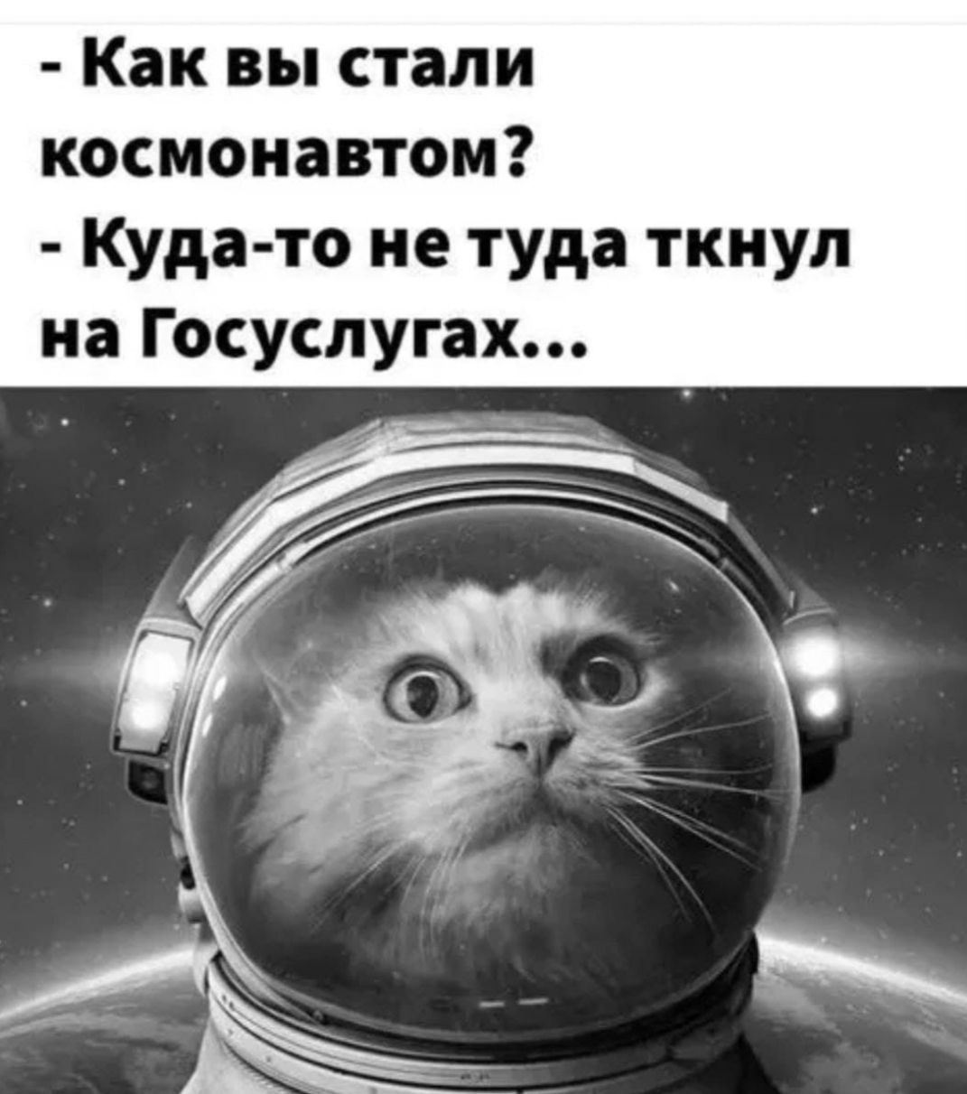 Как вы стали космонавтом Куда то не туда ткнул на Госуслугах