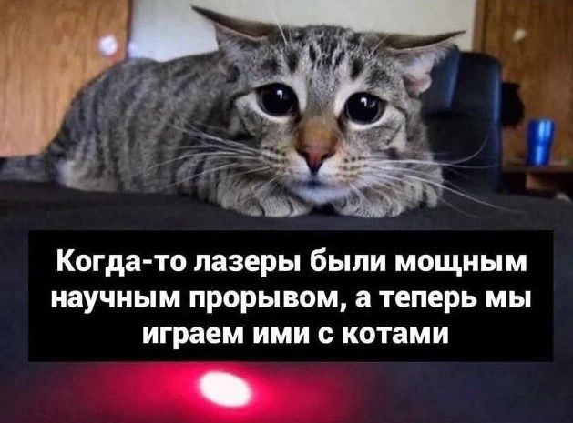 Когда то лазеры были мощным научным прорывом а теперь мы играем ими с котами