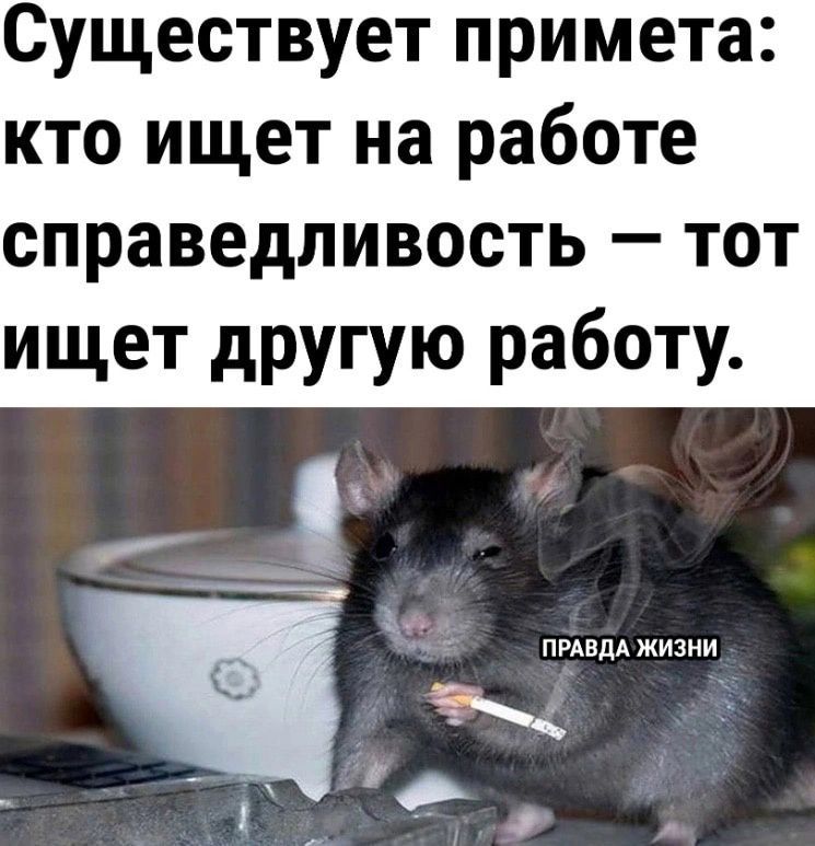 Существует примета кто ищет на работе справедливость тот ищет другую работу