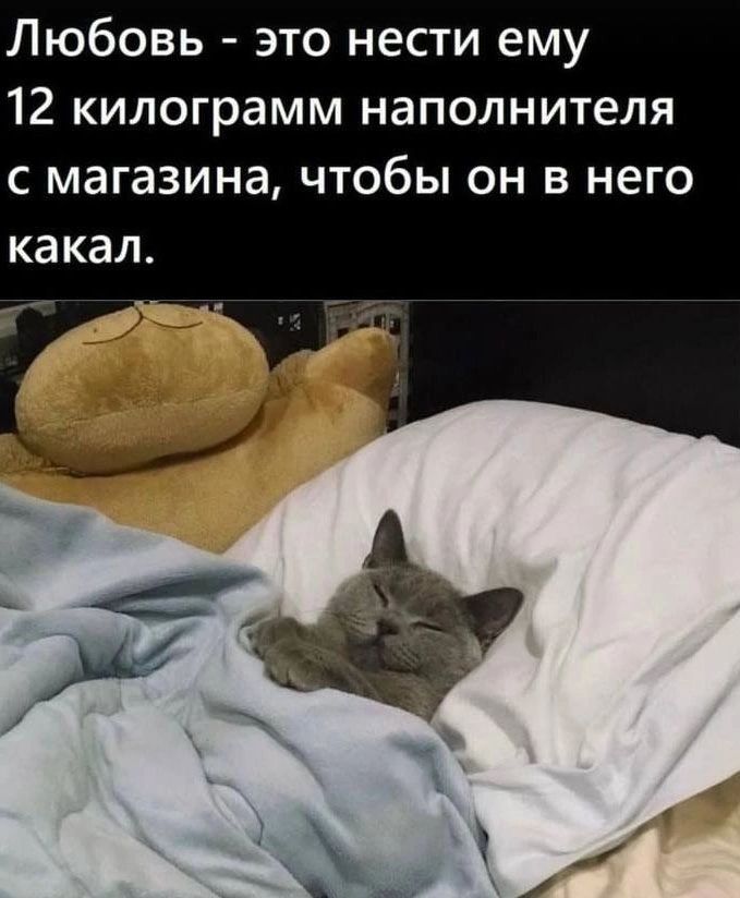 Любовь это нести ему 12 килограмм наполнителя с магазина чтобы он в него КЗ КЭП