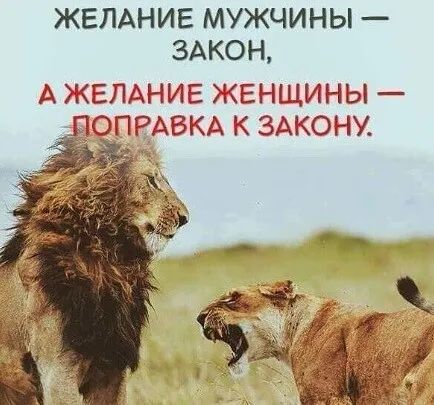 ЖЕЛАНИЕ МУЖЧИНЫ ЗАКОН А ЖЕЛАНИЕ ЖЕКИЕіЫ ПЭПРДБКАК АКОНУ 94