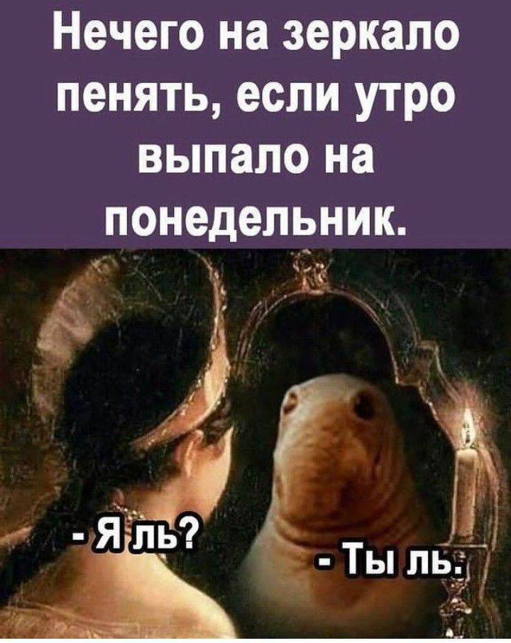 Нечего на зеркало пенять если утро выпало на понедельник А5