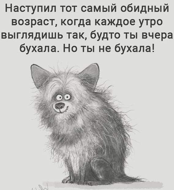 Наступил тот самый обидный возраст когда каждое утро выглядишь так будто ты вчера бухала Но ты не бухала