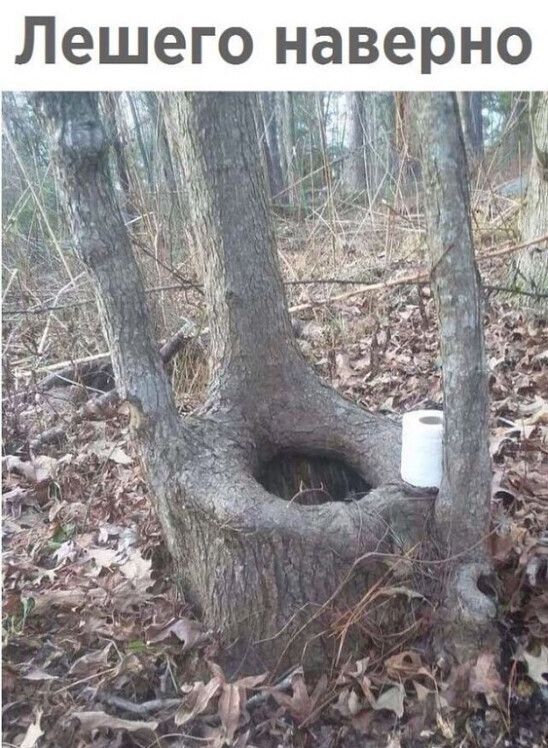 ОЁ т р Ф Е а Е аі т ь В Е Е
