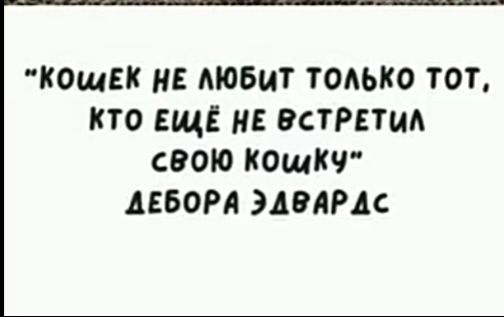 КОшЕК ИЕ МОБМТ ТОАЬКО ТОТ КТО ЕЩЕ НЕ ВСТРЕПМ СВОЮ КОЩКЧ АЕБОРА ЭДВАРДС