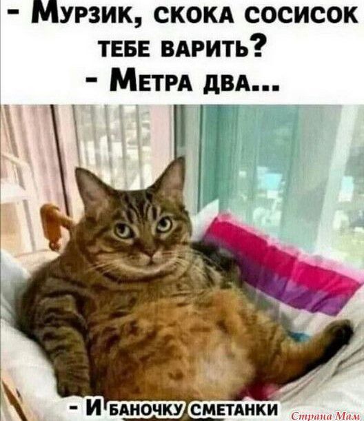 Мурзик скокя сосисок ТЕБЕ вярить МЕТРА двд Г И БАИОЧКУ СМПАНКИ
