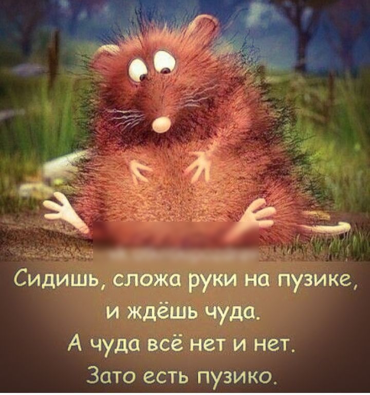 А чуда неё нет и нет Зато есть пузико