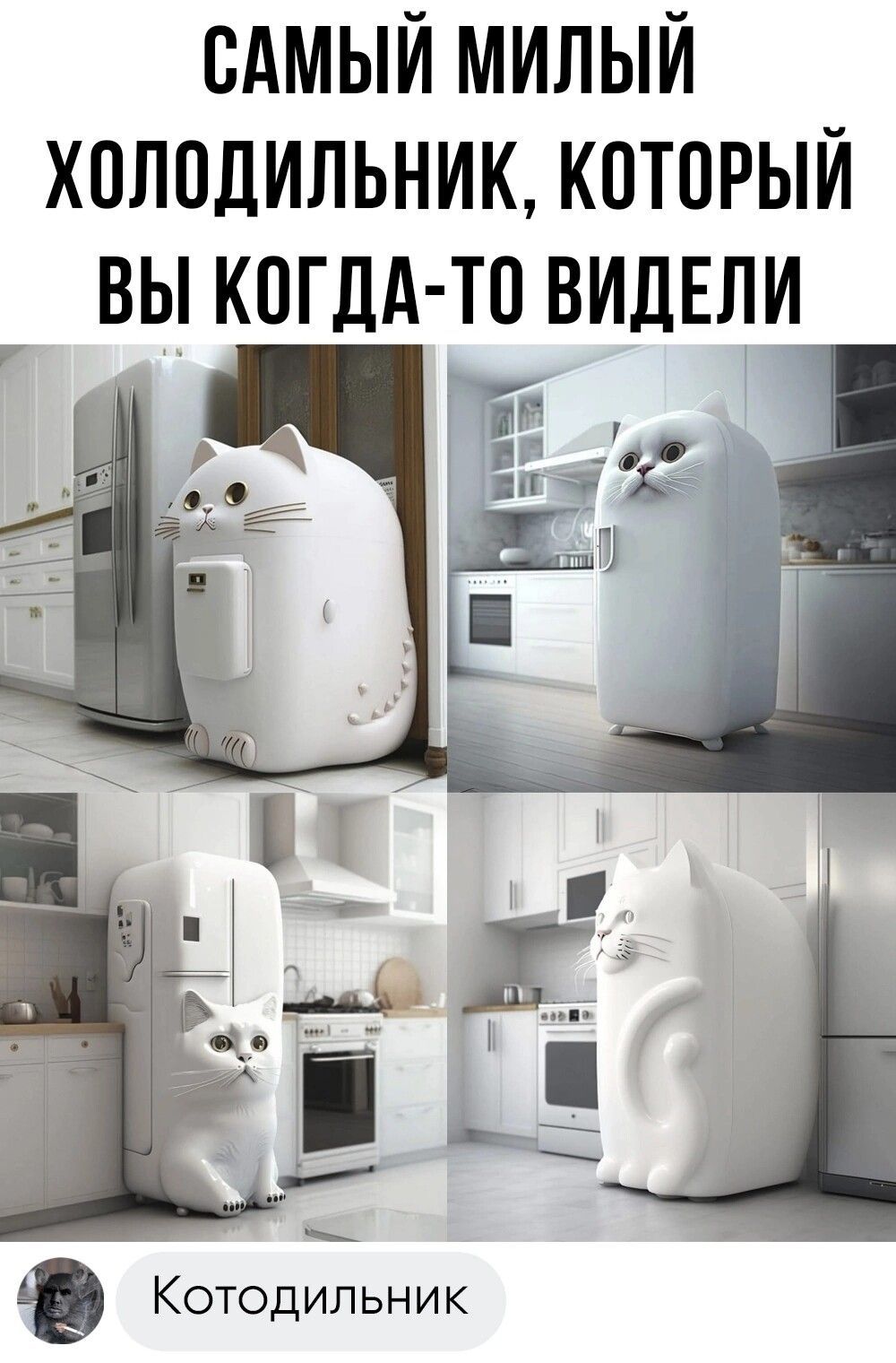 САМЫЙ МИЛЫЙ ХПЛПДИЛЬНИК КОТПРЫЙ Котодильник