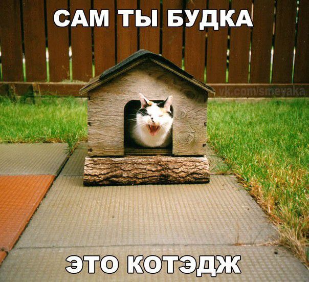 сдм ты БУдКА 1