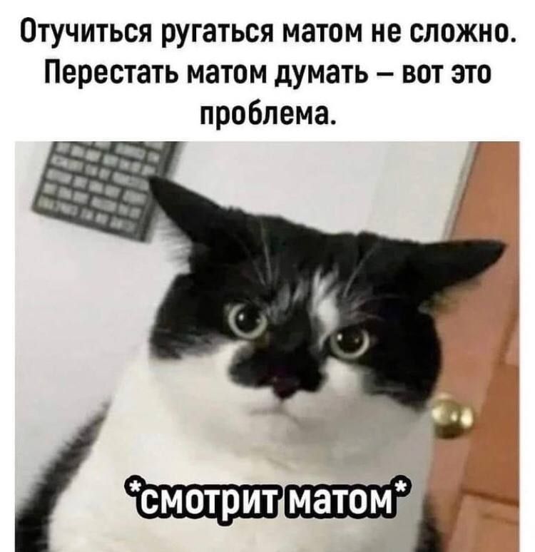 стучиться ругаться матом не сложно Перестать матом думать вот это проблема
