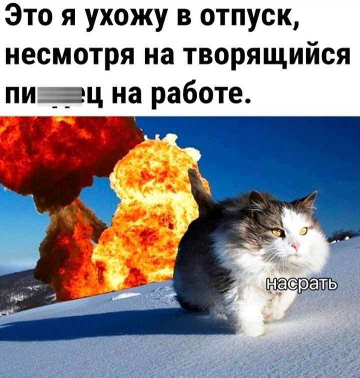 Это я ухожу в отпуск несмотря на творящийся пи ___ц на работе